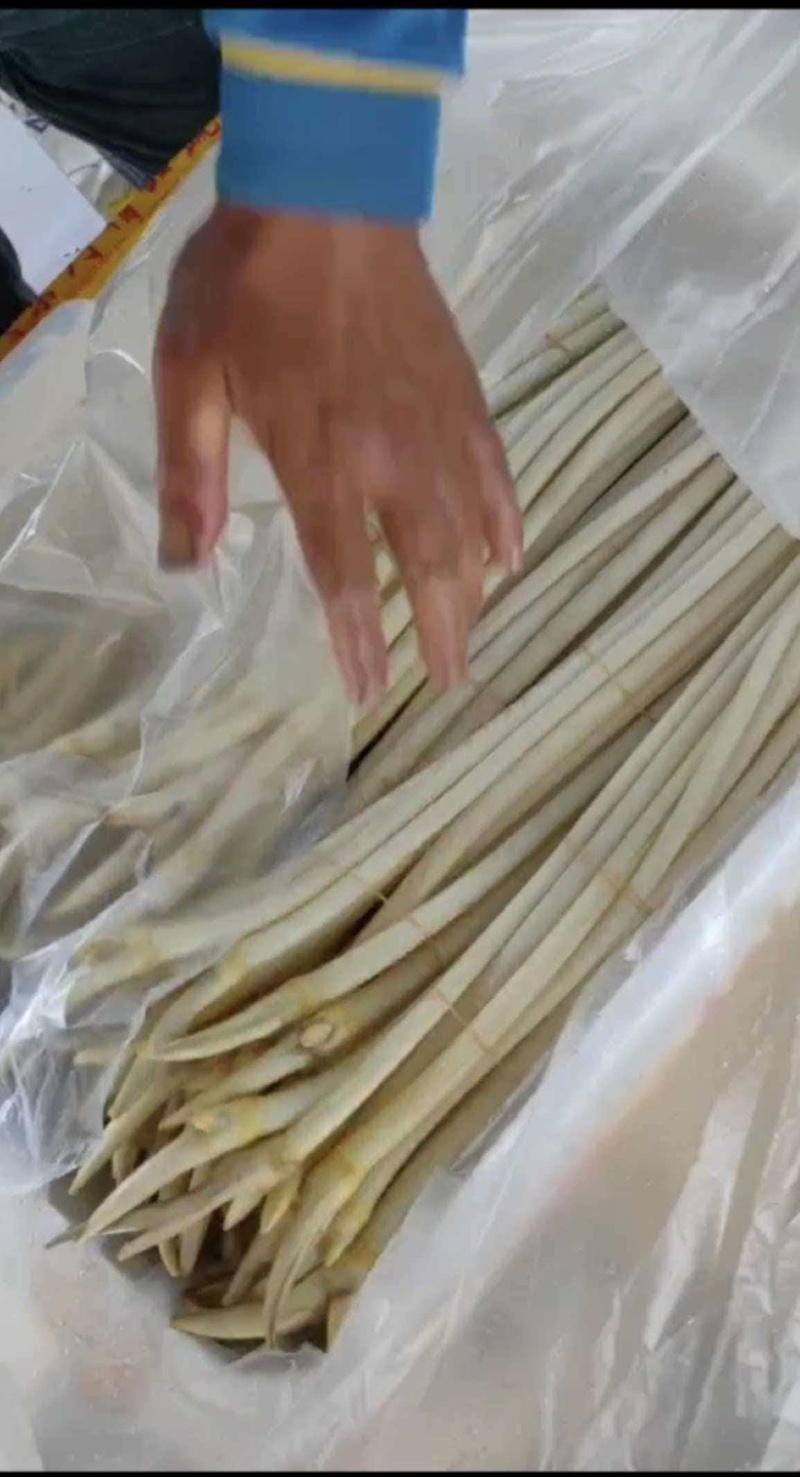 产发直发新鲜藕带，品质有保障，欢迎咨询订购