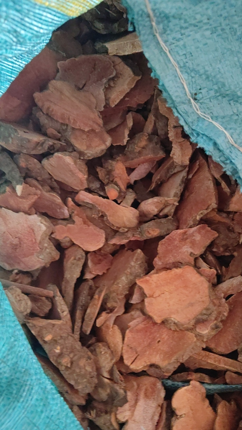 云南野生红肉木质土茯苓要干货新鲜都有现挖的要多少价格批发