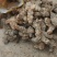 云南野生红肉木质土茯苓要干货新鲜都有现挖的要多少价格批发