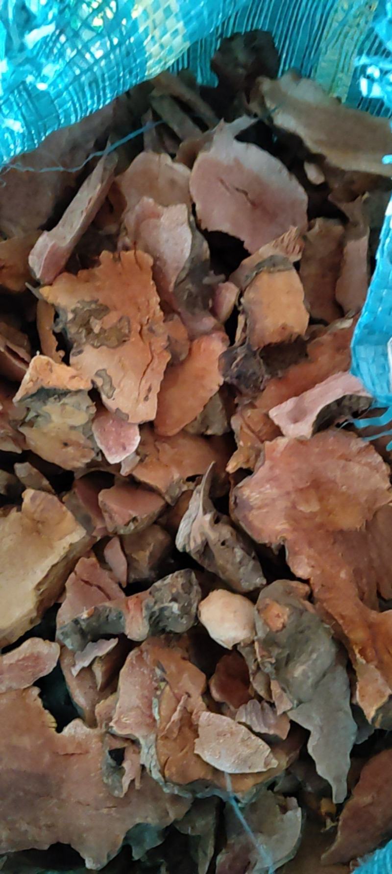 云南野生红肉木质土茯苓要干货新鲜都有现挖的要多少价格批发