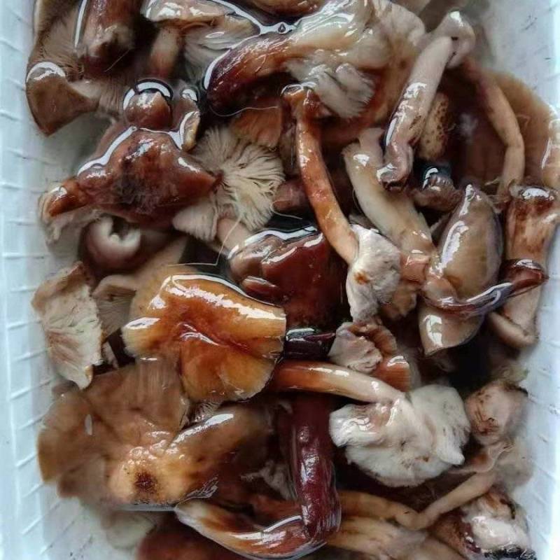 腌制榛蘑咸榛蘑盐渍榛蘑新鲜榛蘑控水发货净重