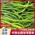 【香辣可口】云南精品线椒对接电商超市供应链量大从优