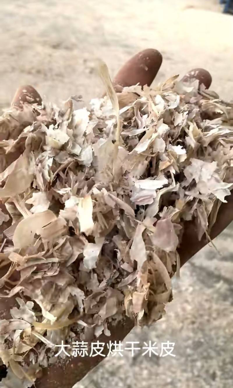 牛羊马驴饲料烘干大蒜皮，去土去杂物筛选