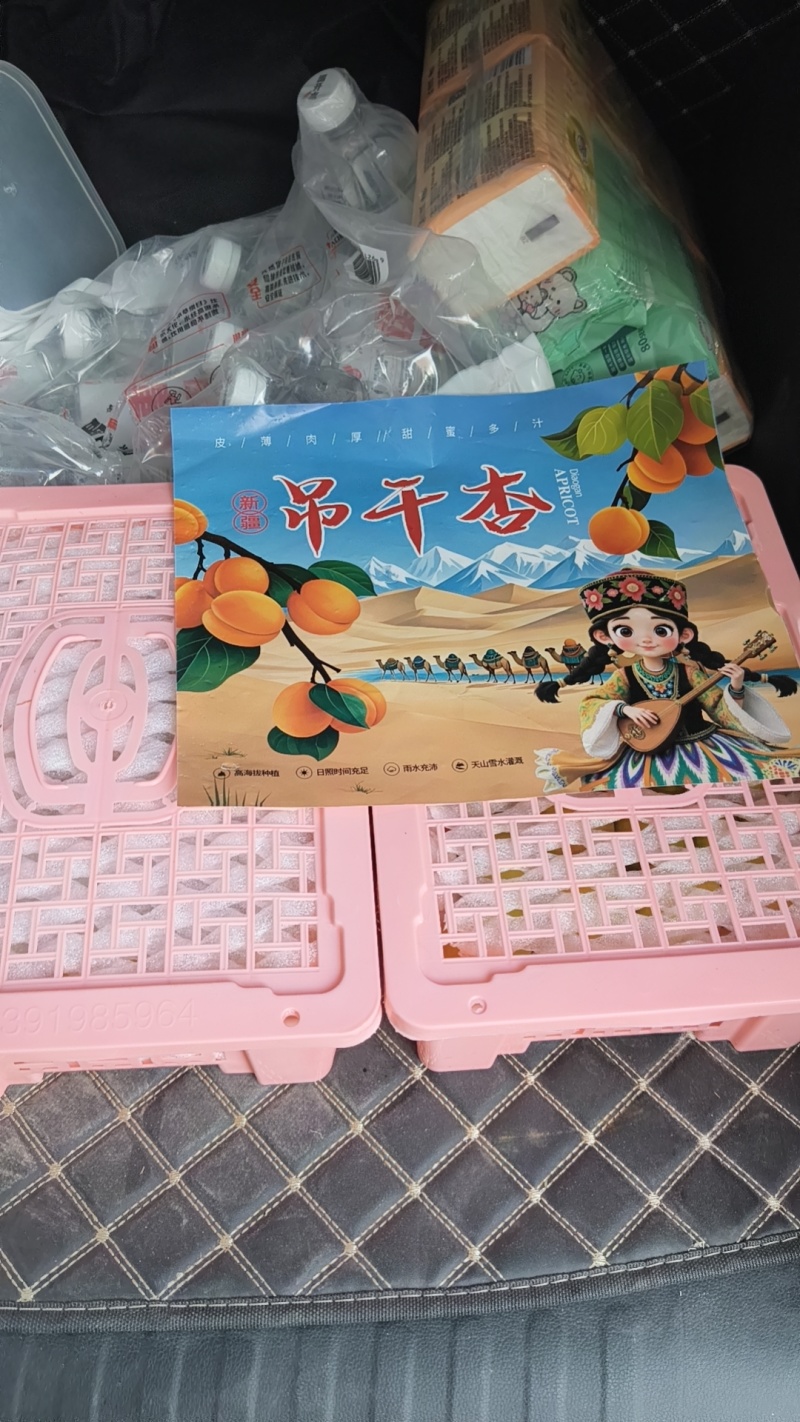 吊干杏预售