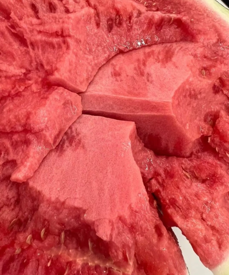 精品美都、麒麟西瓜产地一手批发价格，质量保证，坏果包赔