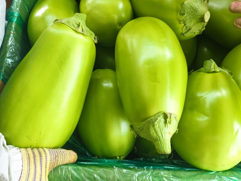 精品青茄商超市场长期供应，产地直发全国发货质量保证