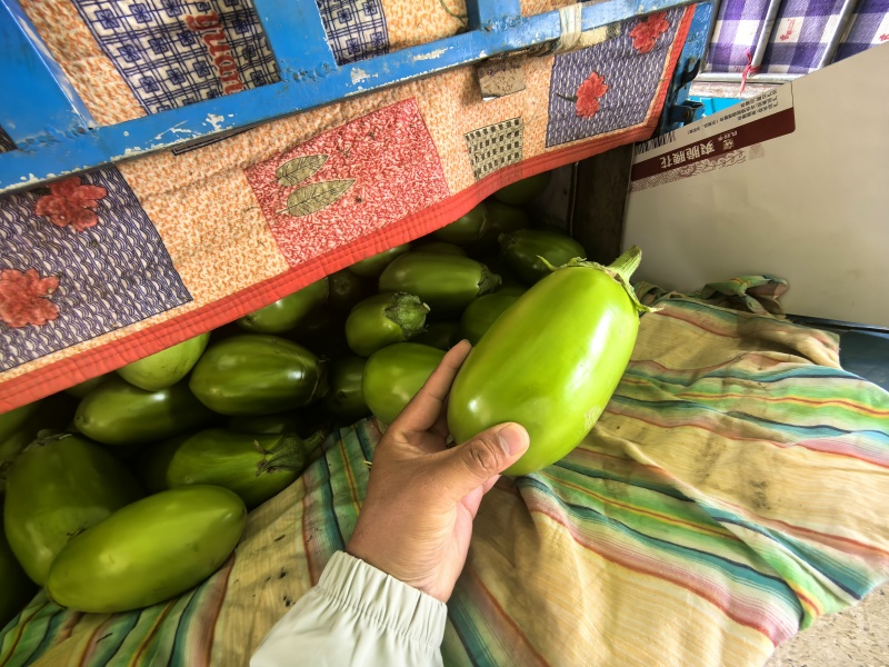 精品青茄商超市场长期供应，产地直发全国发货质量保证