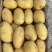 唐山精品土豆种植基地直发品质高价格优惠欢迎来电洽谈
