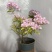 0.5加仑苹果花