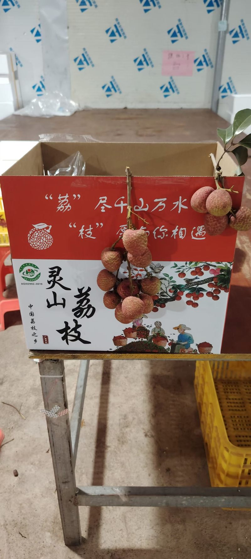 灵山荔枝，桂花香！大量现货供应！对接全国各地经销商！