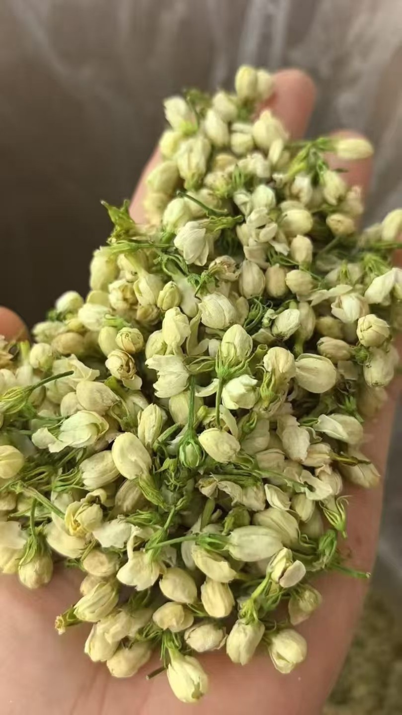 横县茉莉花蕾干