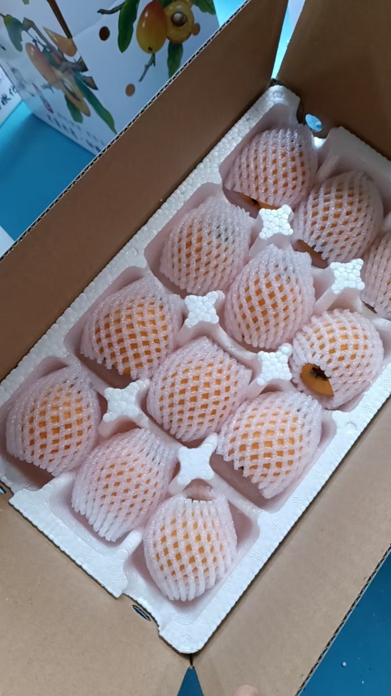 龙泉驿大五星枇杷