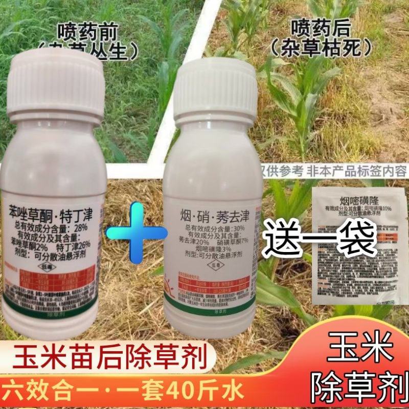 金尔玉米苗后专用除草剂不伤玉米尖叶圆叶草玉米田除草剂