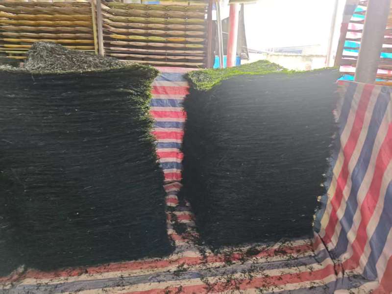 福建烘干海带丝大方片海带丝厂家直供量大从优欢迎联系