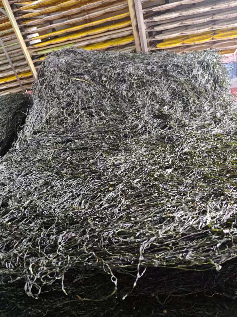福建烘干海带丝大方片海带丝厂家直供量大从优欢迎联系