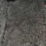 福建烘干海带丝大方片海带丝厂家直供量大从优欢迎联系
