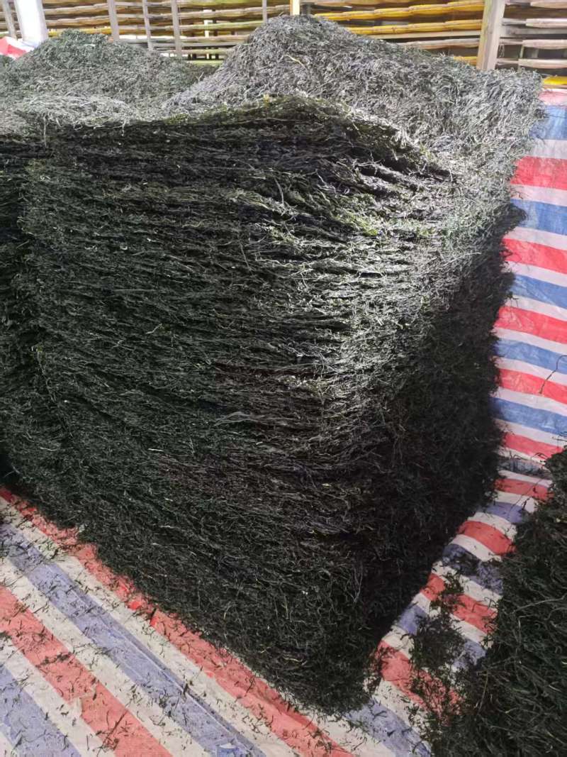 福建烘干海带丝大方片海带丝厂家直供量大从优欢迎联系