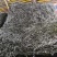 福建烘干海带丝大方片海带丝厂家直供量大从优欢迎联系