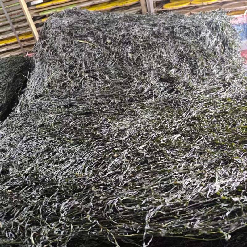 福建烘干海带丝大方片海带丝厂家直供量大从优欢迎联系