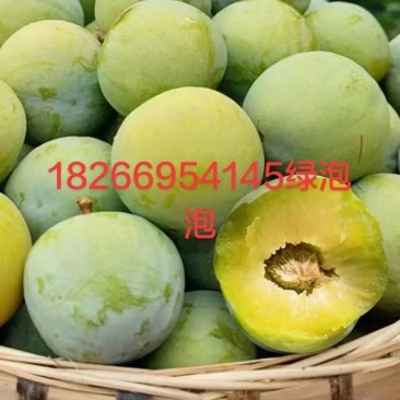 六马蜂糖李