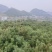 贵州高山万亩杨梅基地，口感甜，水份足，颜色好，果面干净，
