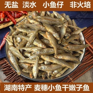 湖南特产无盐嫩子鱼毛毛鱼原汁原味麦穗鱼湖南小鱼干
