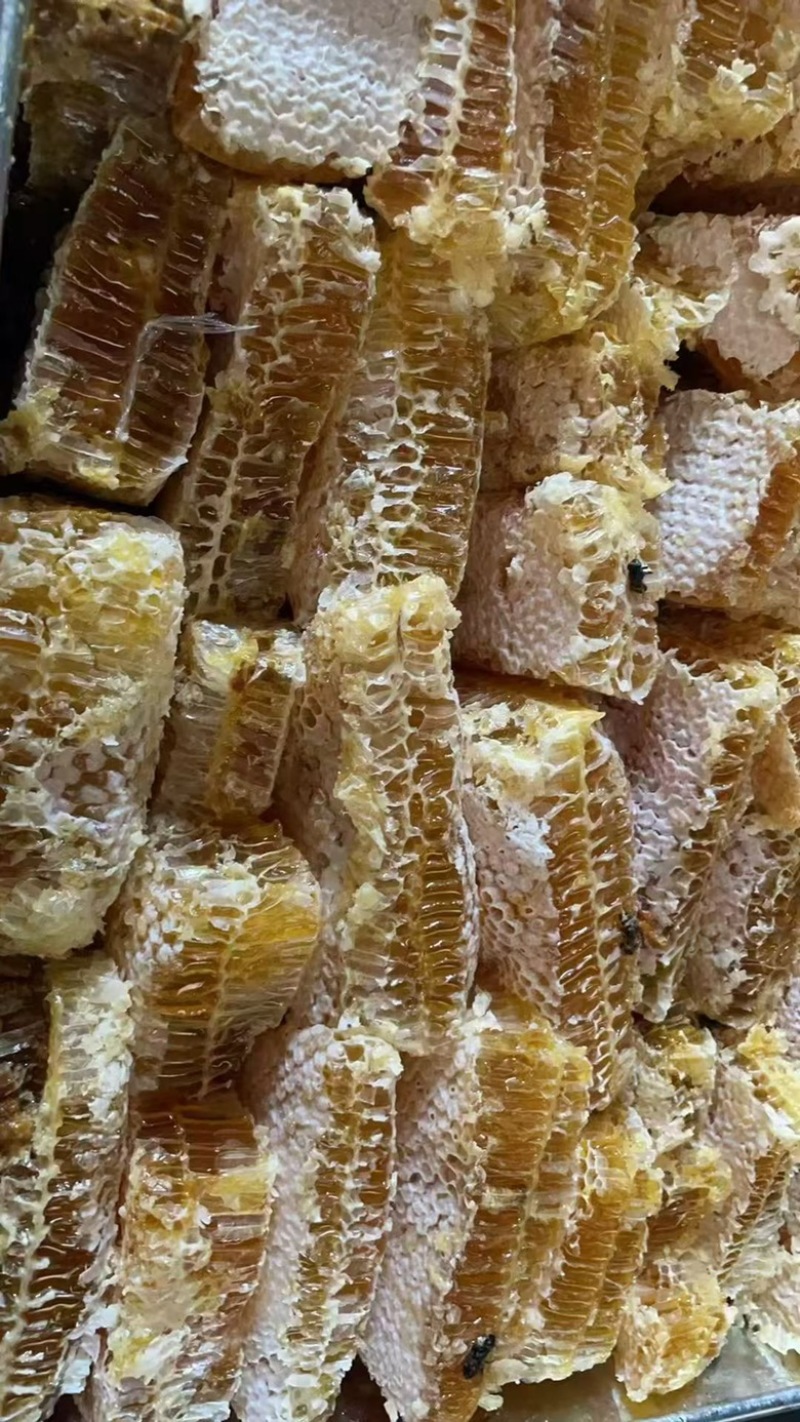 蜂蜜巢可地摊商超餐饮可视频看货现货供应
