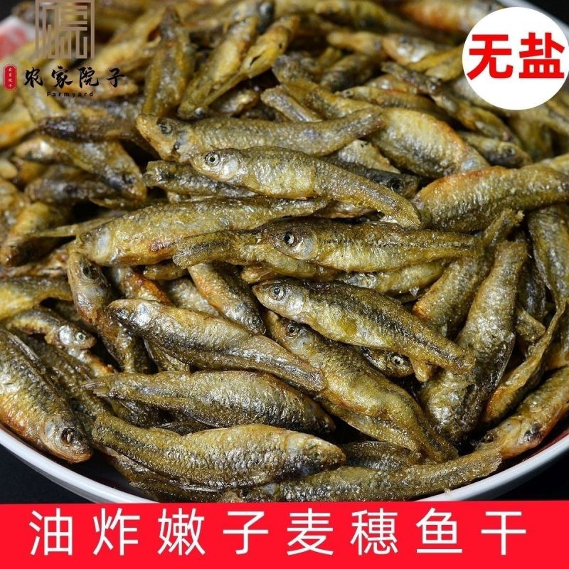 湖南特产无盐嫩子鱼毛毛鱼原汁原味麦穗鱼湖南小鱼干