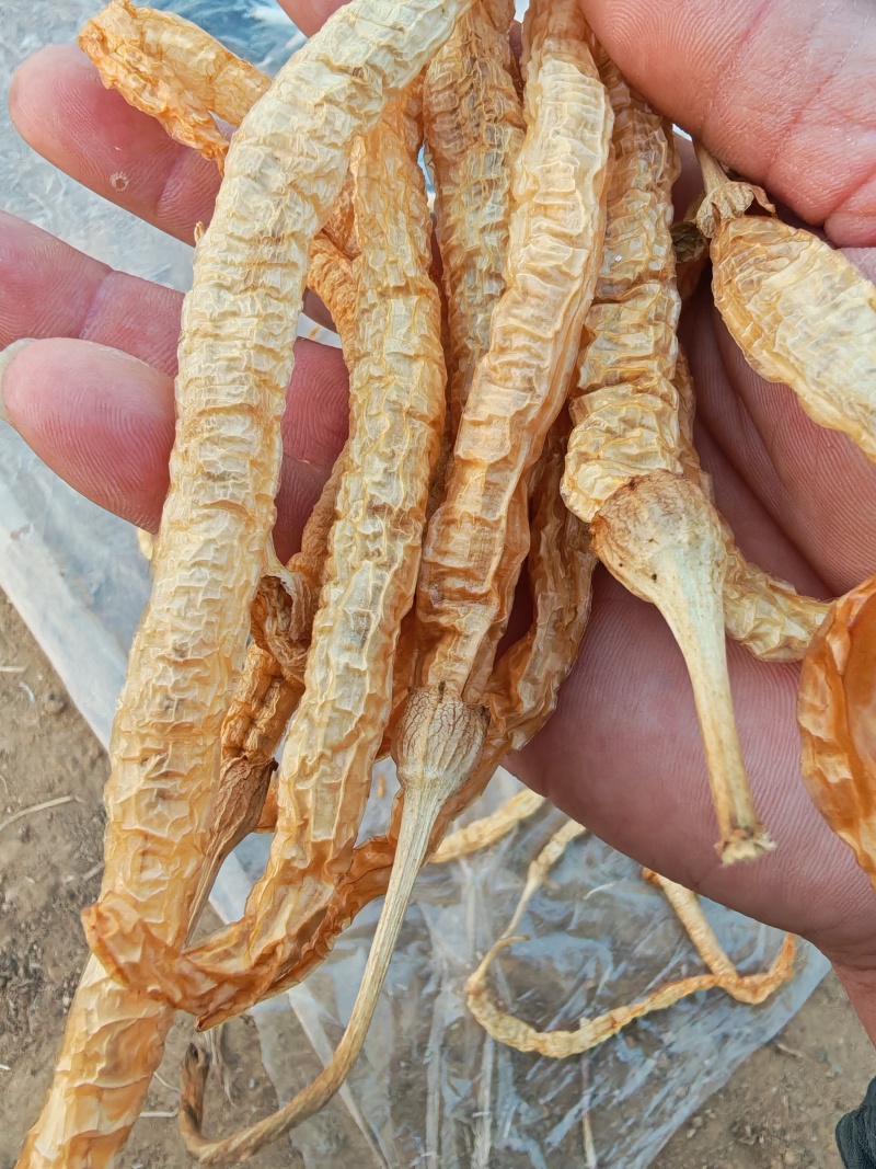 白辣椒无盐水煮