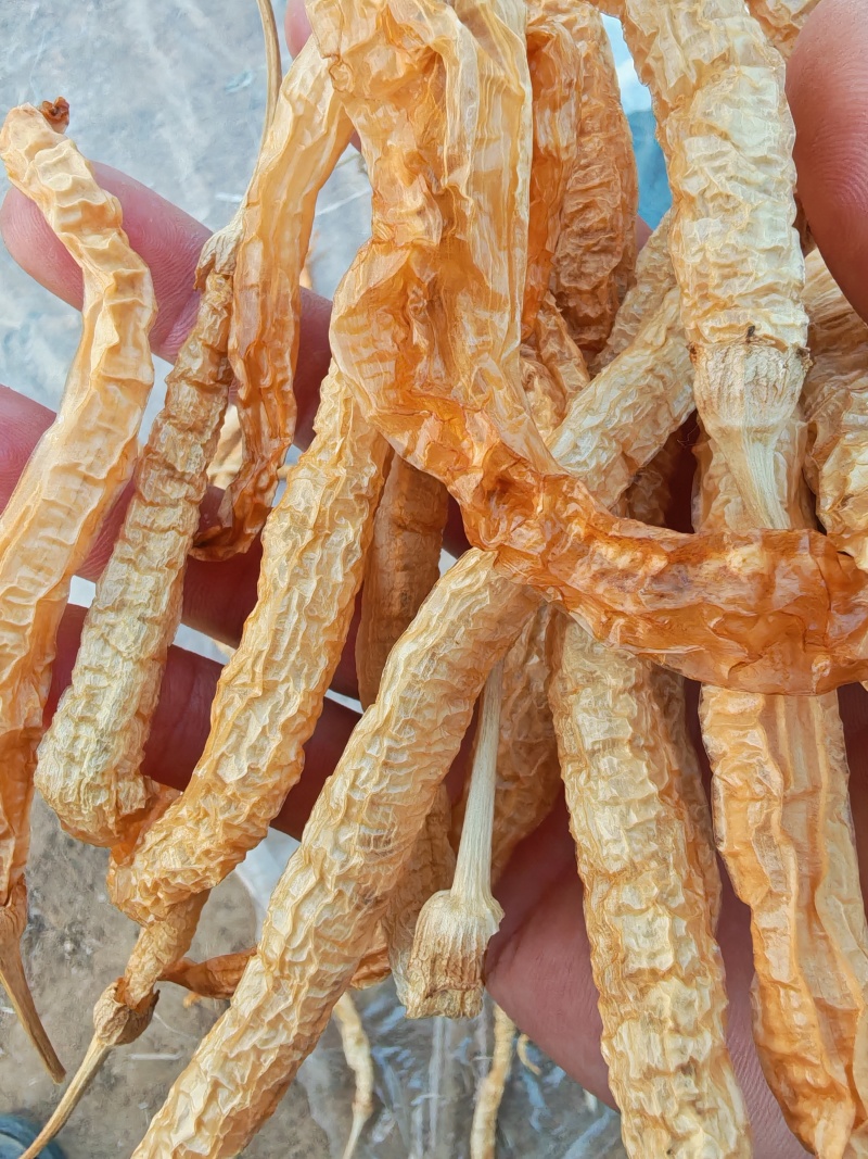 白辣椒无盐水煮