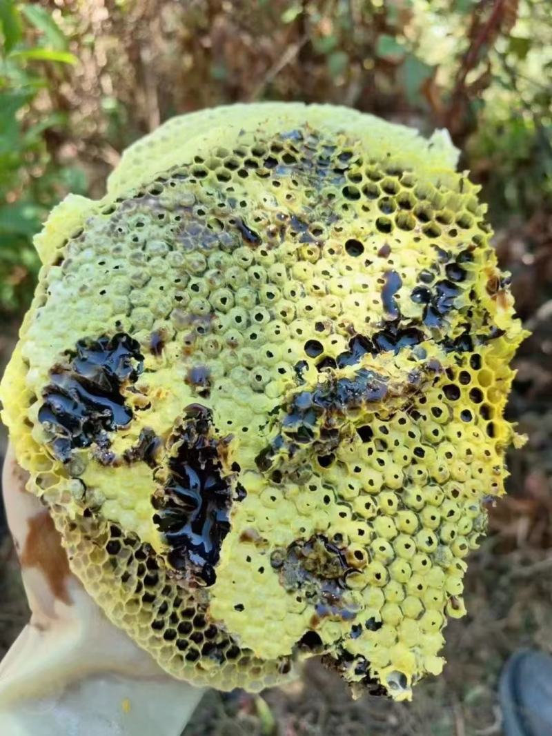 云南蜂蜜