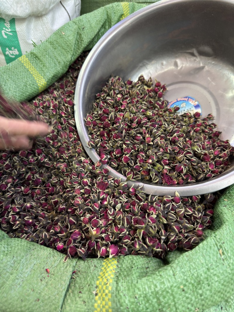 金边玫瑰今年新货漂亮货批发大朵颜色好完整大量现货批发稳定