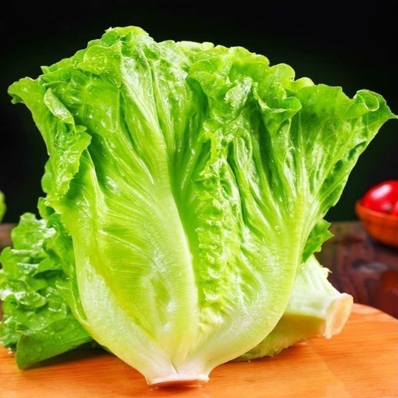【推荐】精品意大利生菜