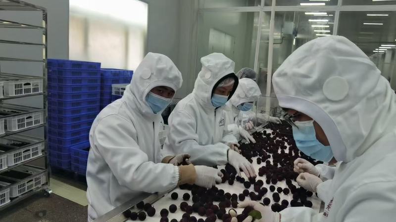 杨梅/**出口/资质齐全/高端商超