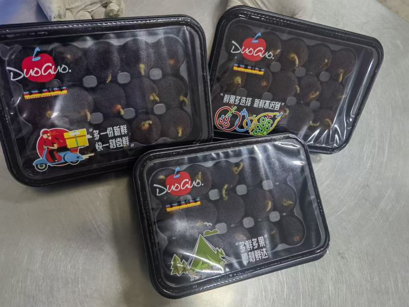 杨梅/**出口/资质齐全/高端商超