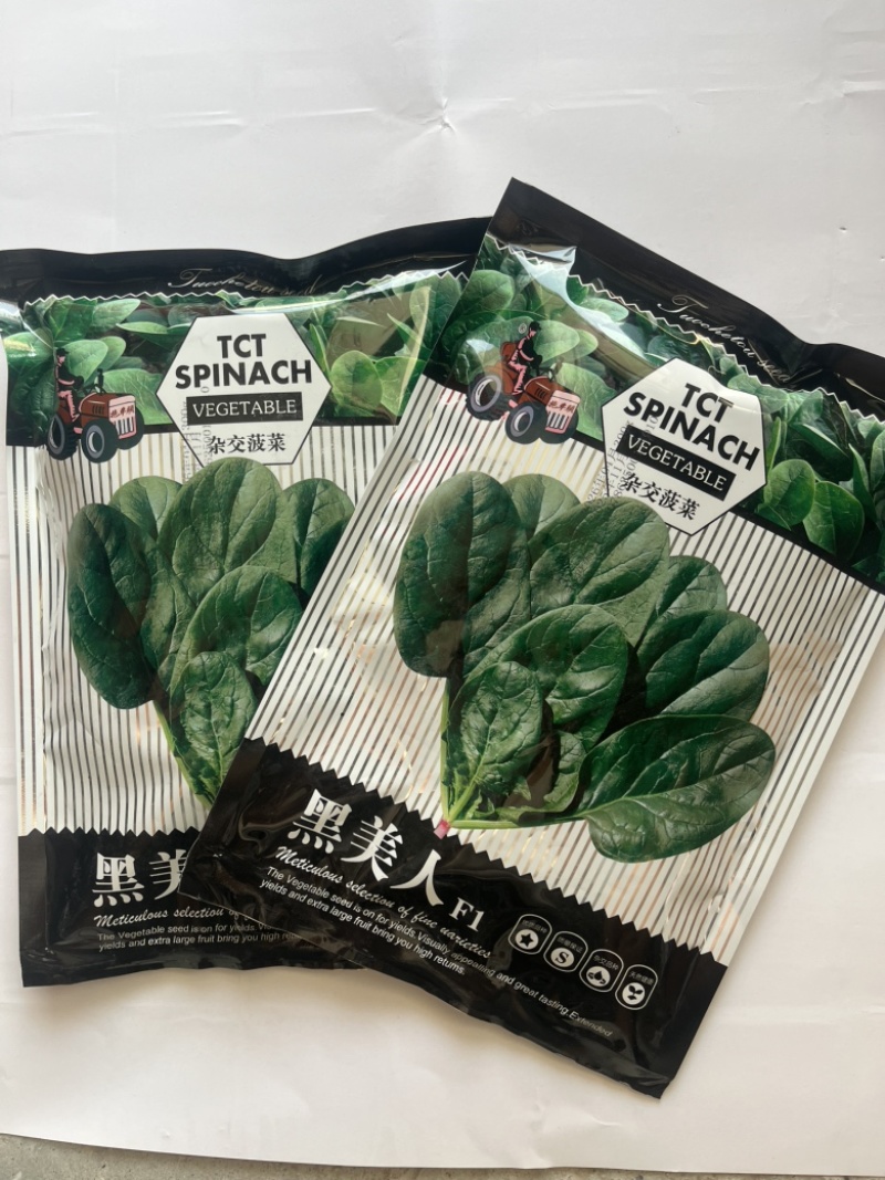 拖车头黑美人菠菜种子圆叶杂交品种种子