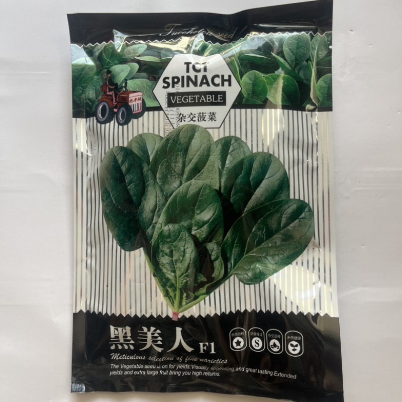 拖车头黑美人菠菜种子圆叶杂交品种种子