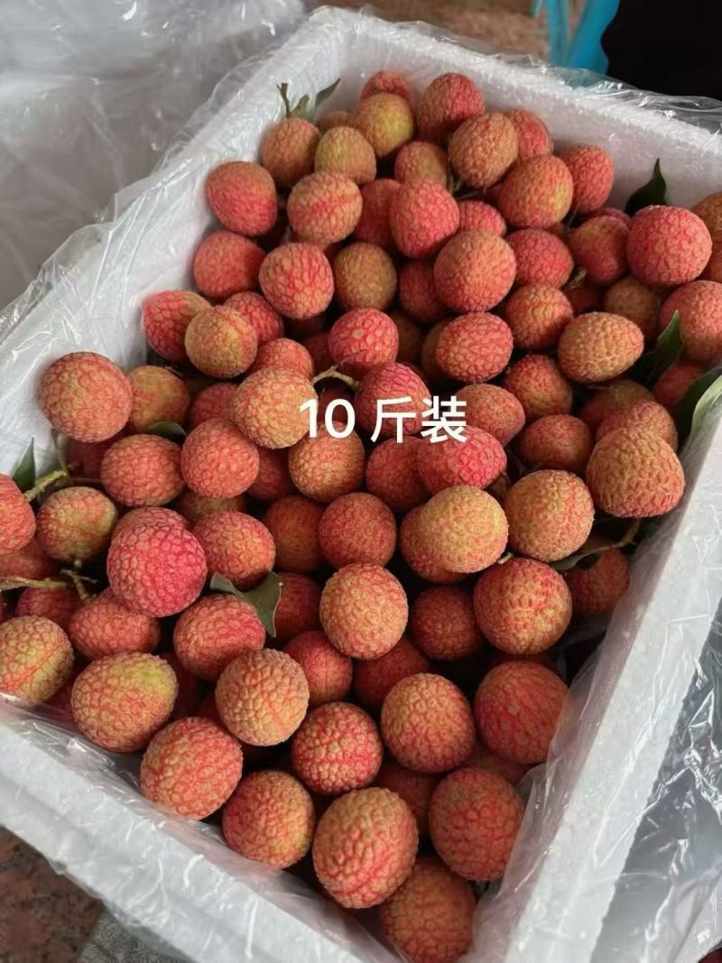 白糖罂