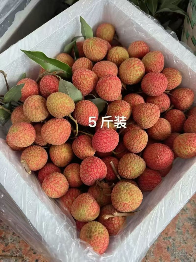 白糖罂