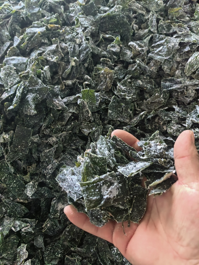 【热卖】烘干，海带片，海带块厂家直销量大质优价格优惠