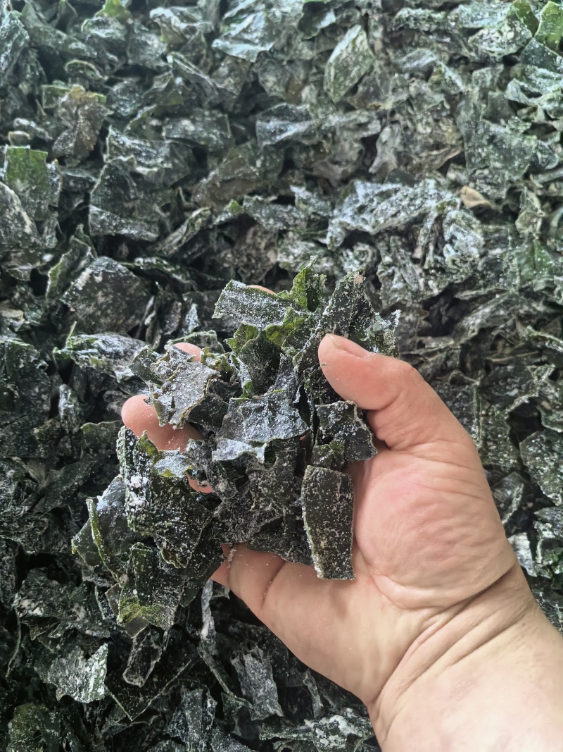 【热卖】烘干，海带片，海带块厂家直销量大质优价格优惠