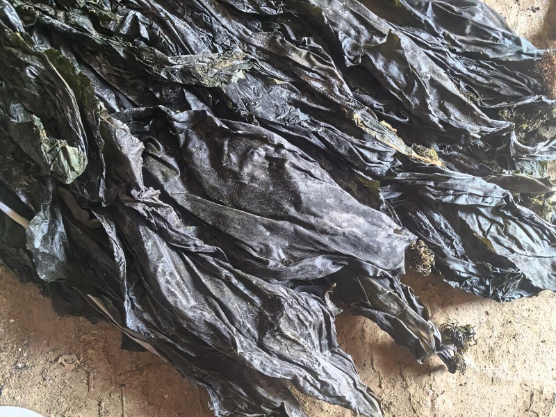 干海带，无盐无沙，整条，产地直销量大质优价格优惠