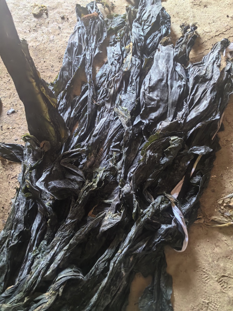 干海带，高区海带，无盐，淡干海带，自然晒干价格优惠