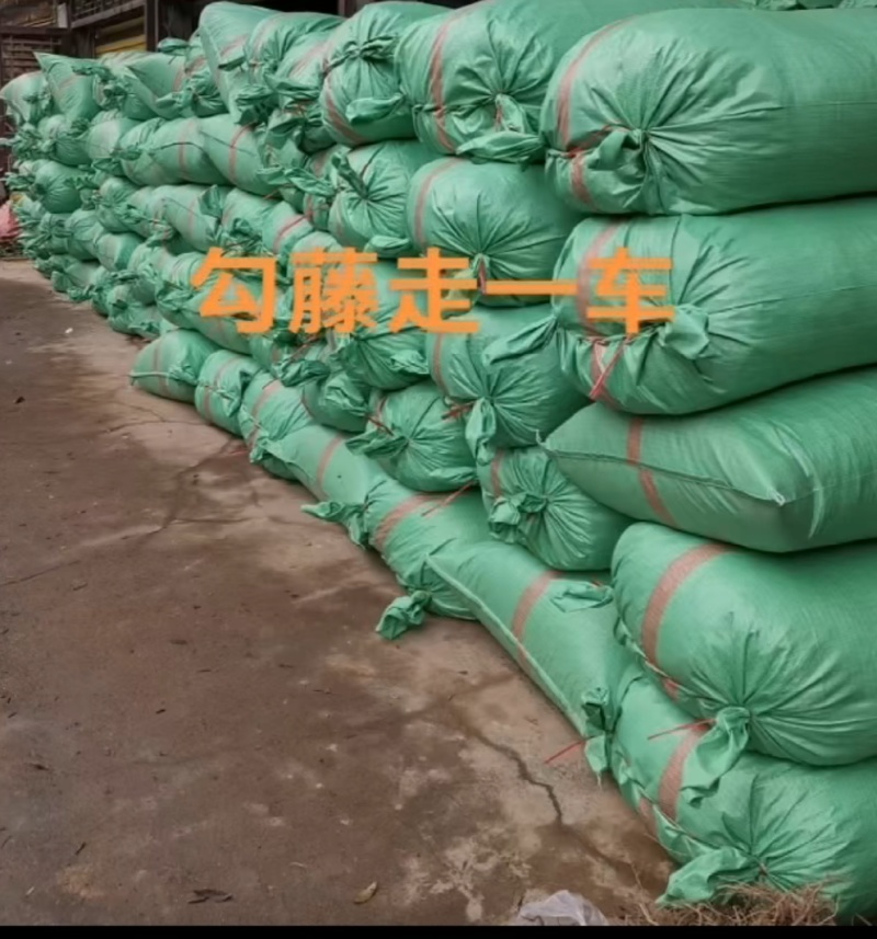 湖南产地钩藤供应商