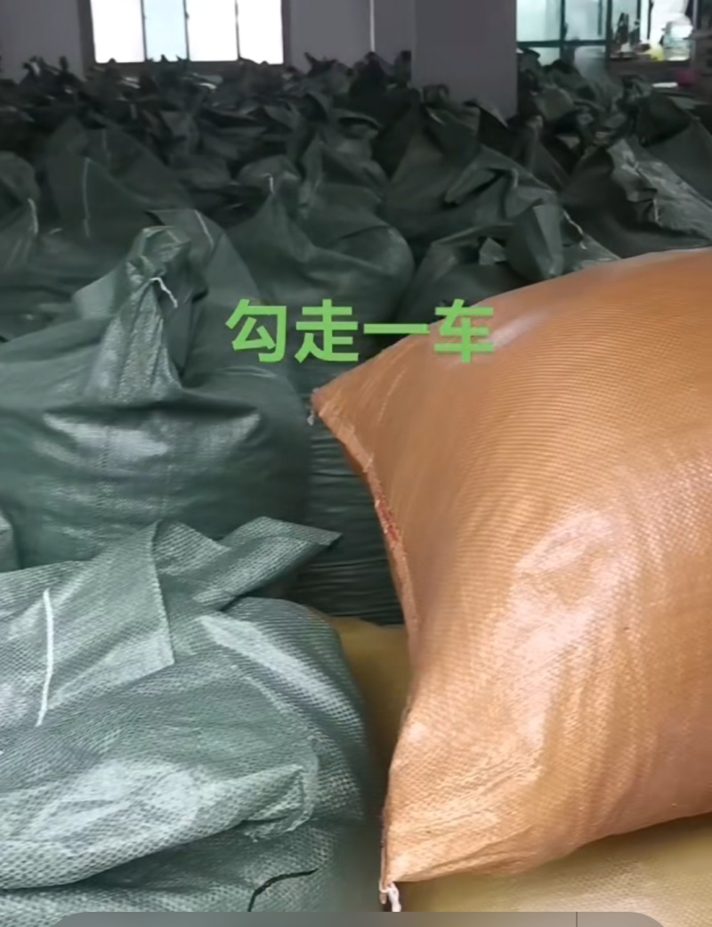 湖南产地钩藤供应商