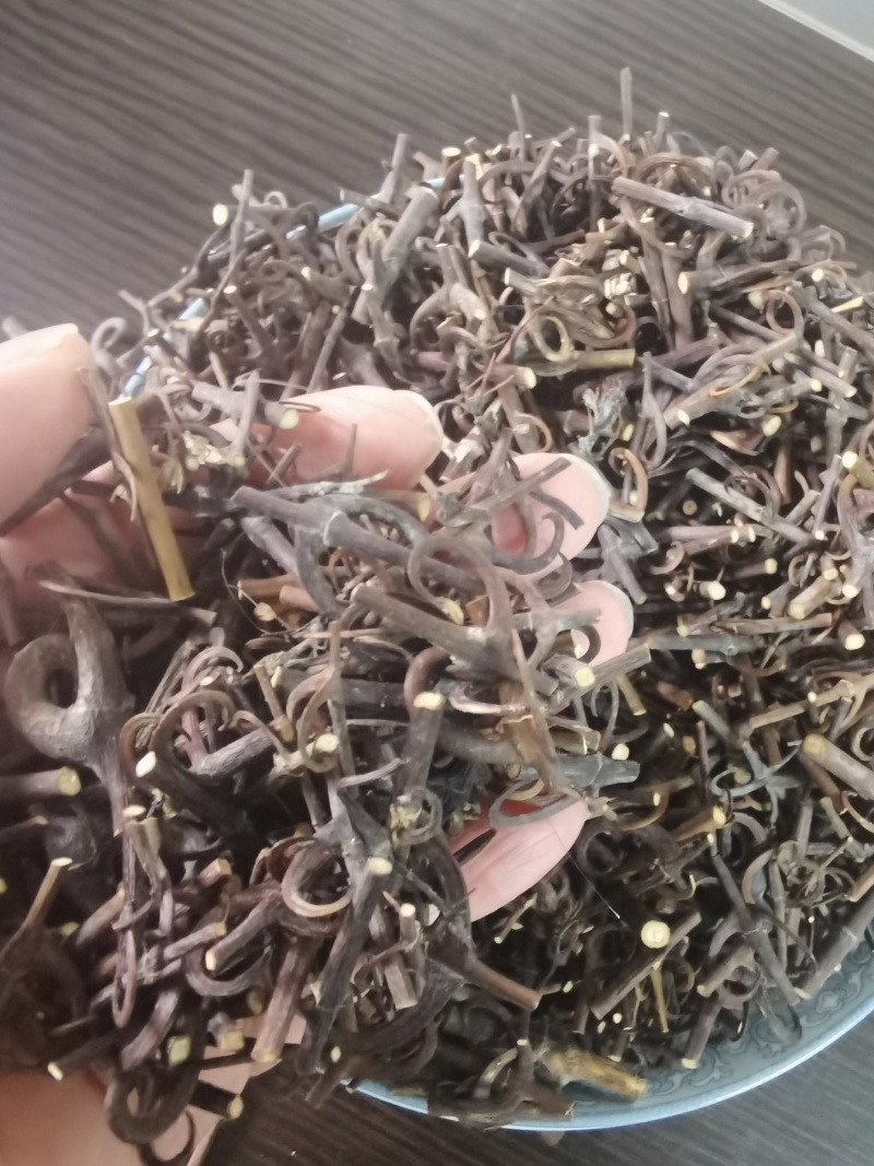 湖南产地钩藤供应商
