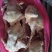 二级肉食鸡10吨，1吨青脚麻鸡5300一吨