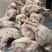 二级肉食鸡10吨，1吨青脚麻鸡5300一吨