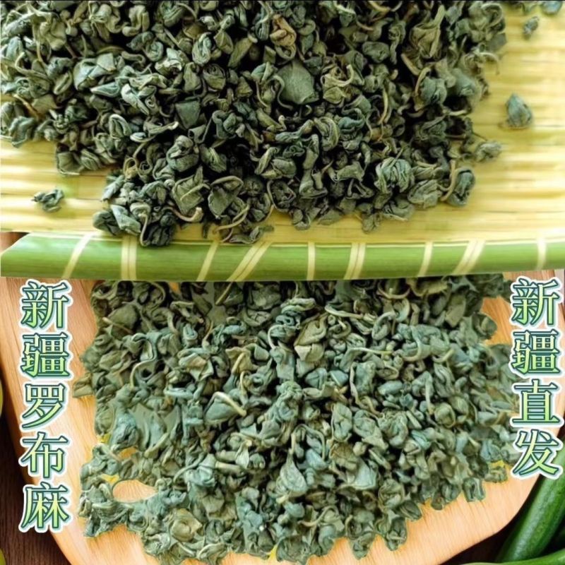 正品新疆原产地野生罗布麻嫩芽叶特级散装产罗布麻茶新疆野生