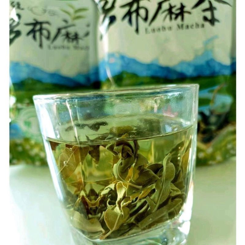 正品新疆原产地野生罗布麻嫩芽叶特级散装产罗布麻茶新疆野生